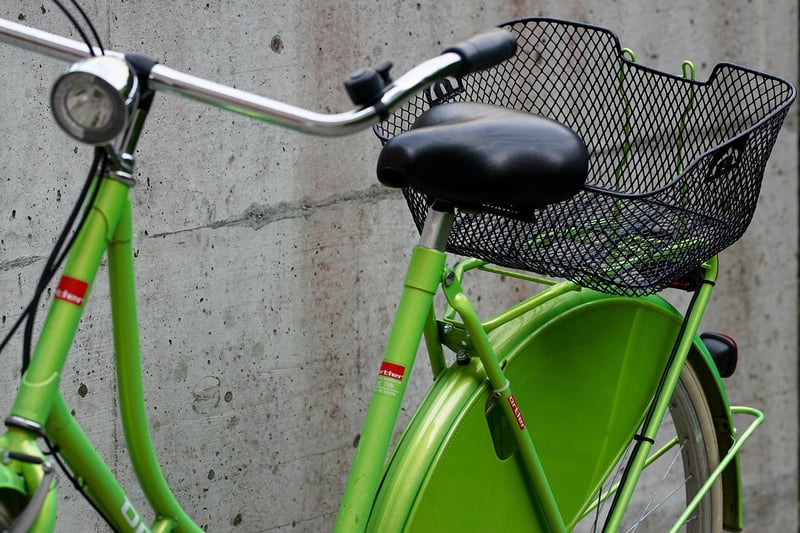 Environmentally Friendly Lifestyle